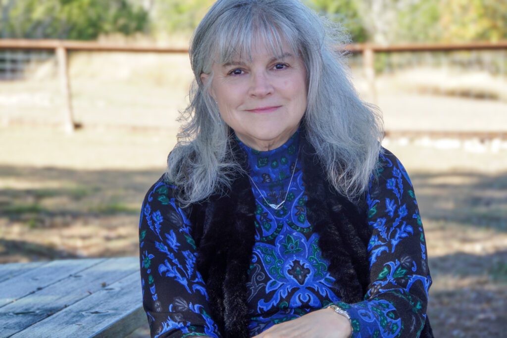 Gray Divorce: My Life Rewritten by Anne L Smith